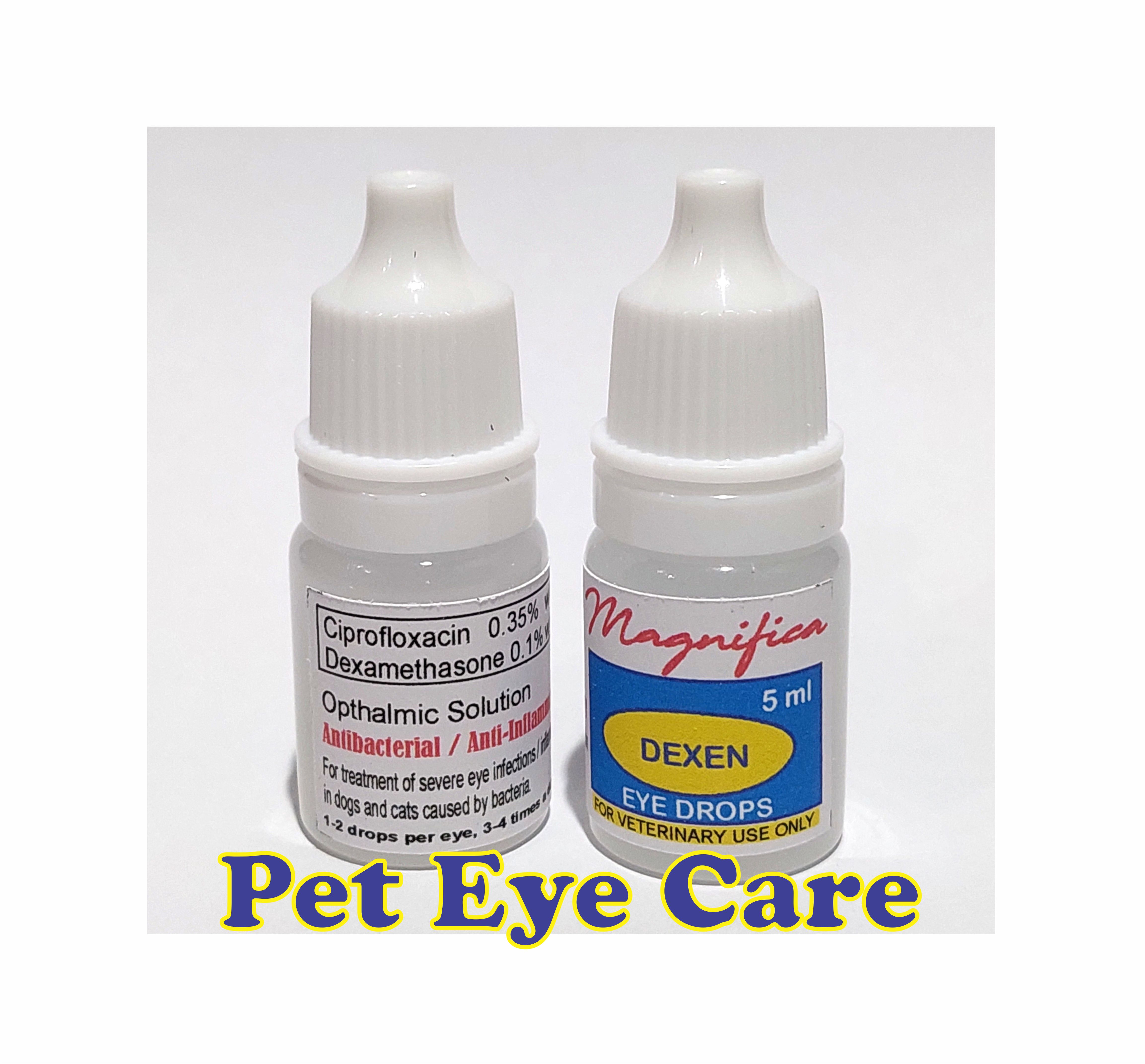 Ciloxan eye drops for dogs best sale