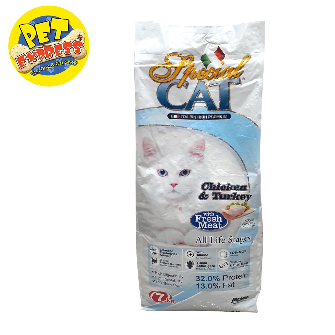 special cat dry food