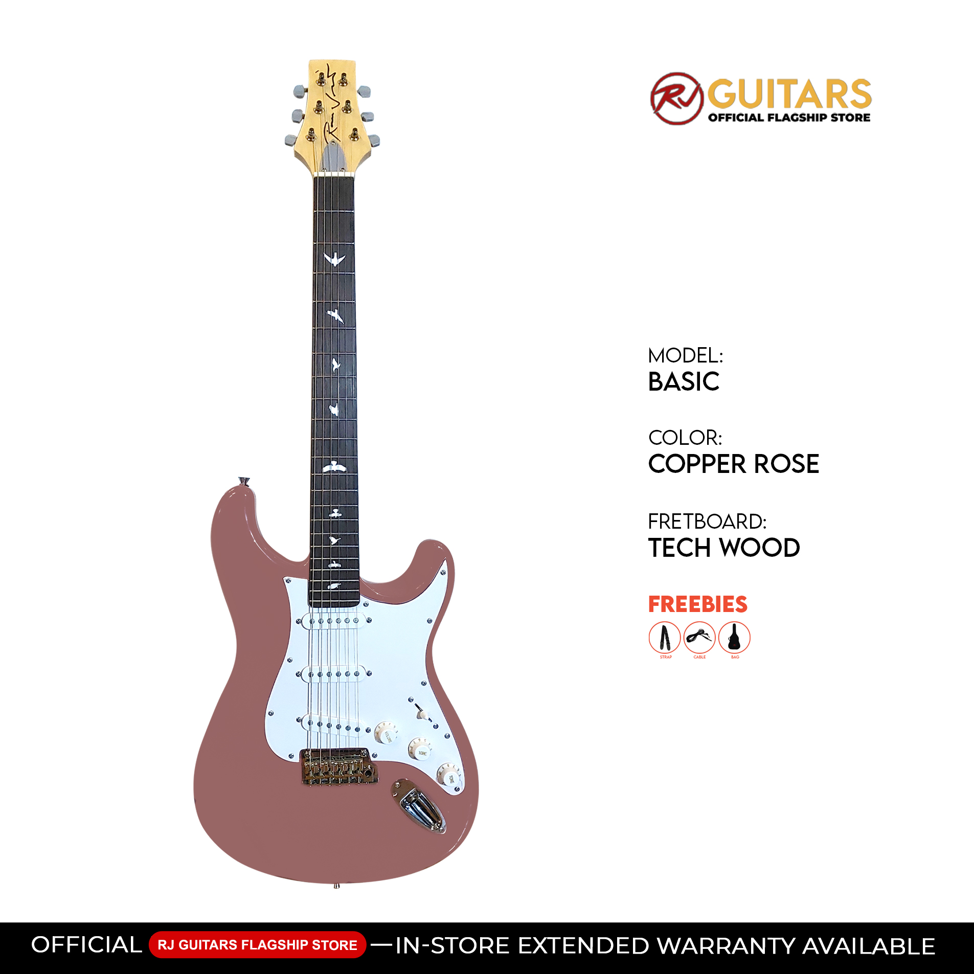 RJ Vibecaster Electric Guitar (Silversky Stratocaster