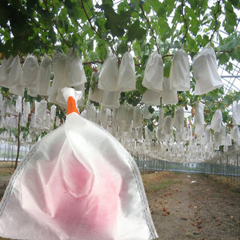 100Pcs Grape Protection Bags Garden Fruit Vegetable Mesh Bag