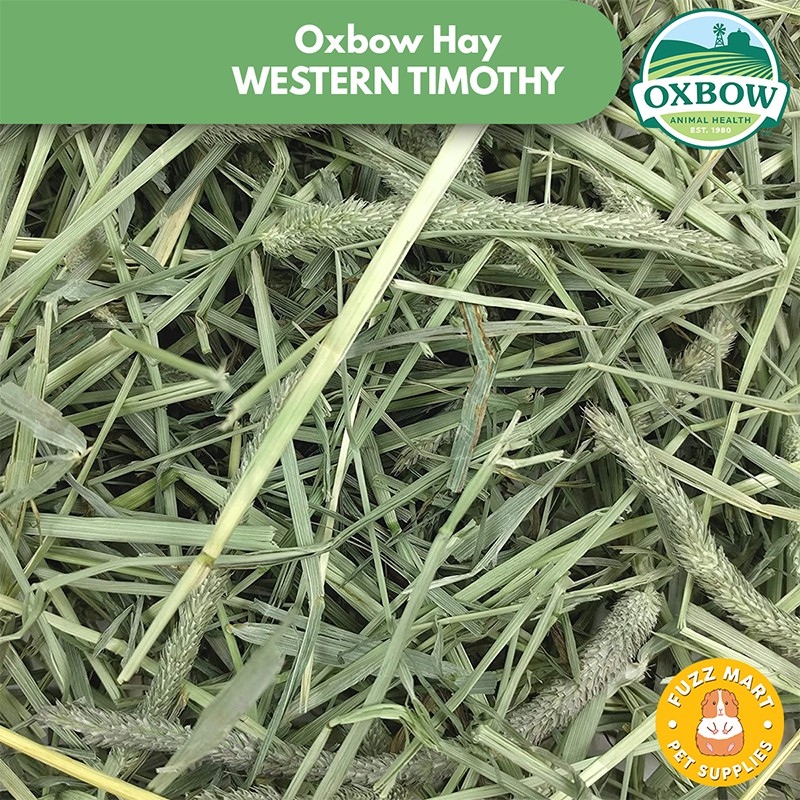 Oxbow Hay Mini Pack 80g (Timothy Orchard Alfalfa Oat Organic Meadow