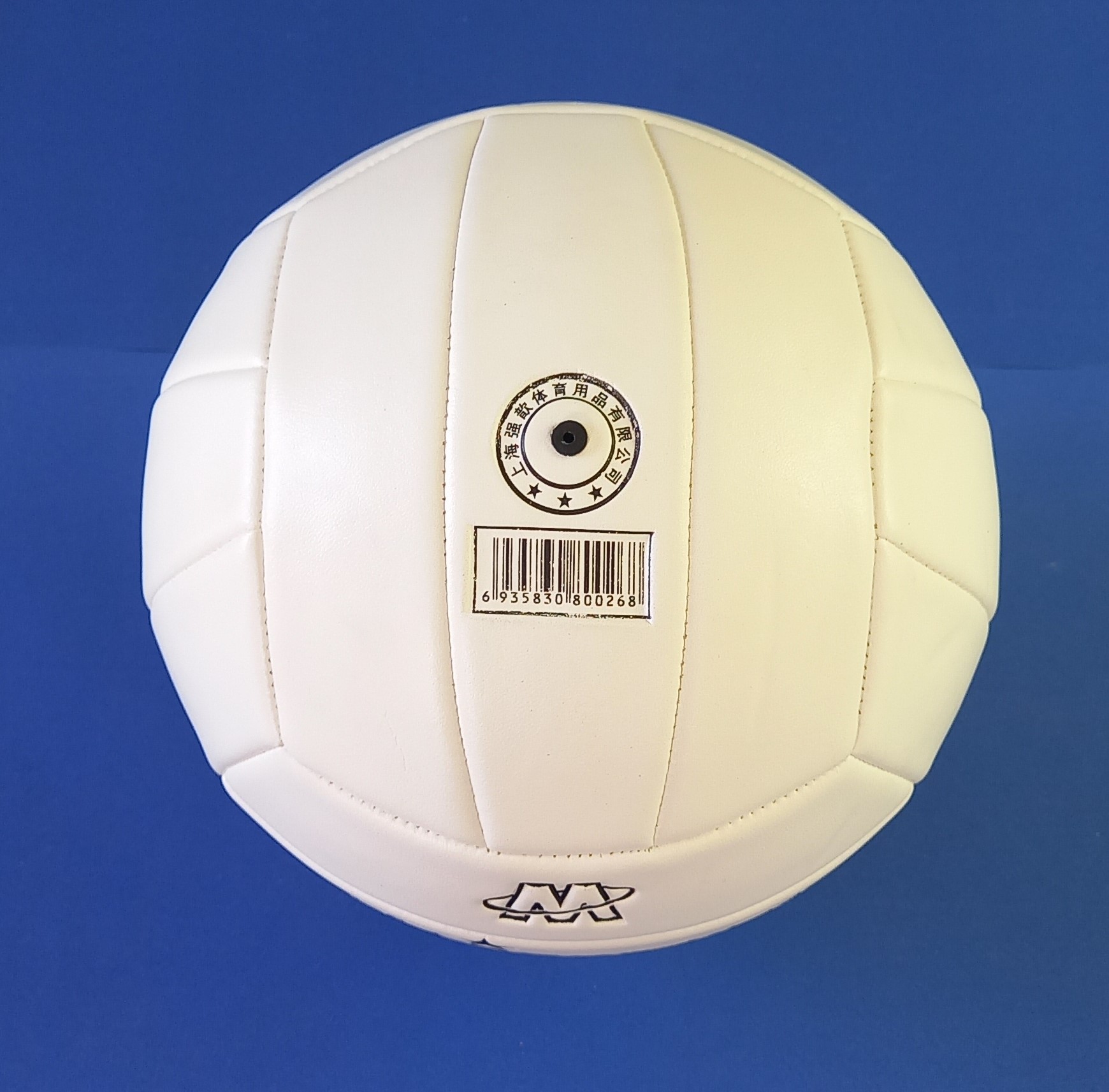 Volleyball ball Lazada PH