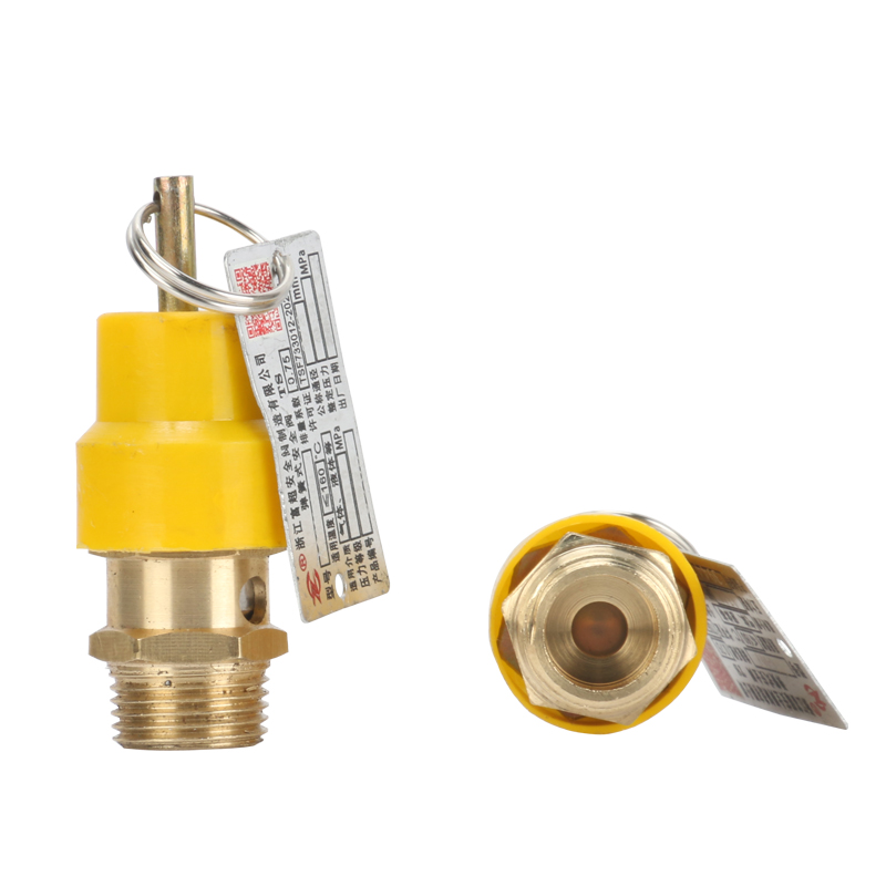 Spring Air Compressor Safety Valve Relief Pressure Valve Air Pump