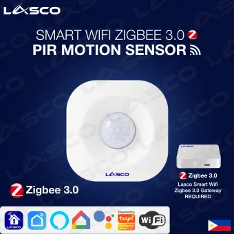 google home compatible motion sensor