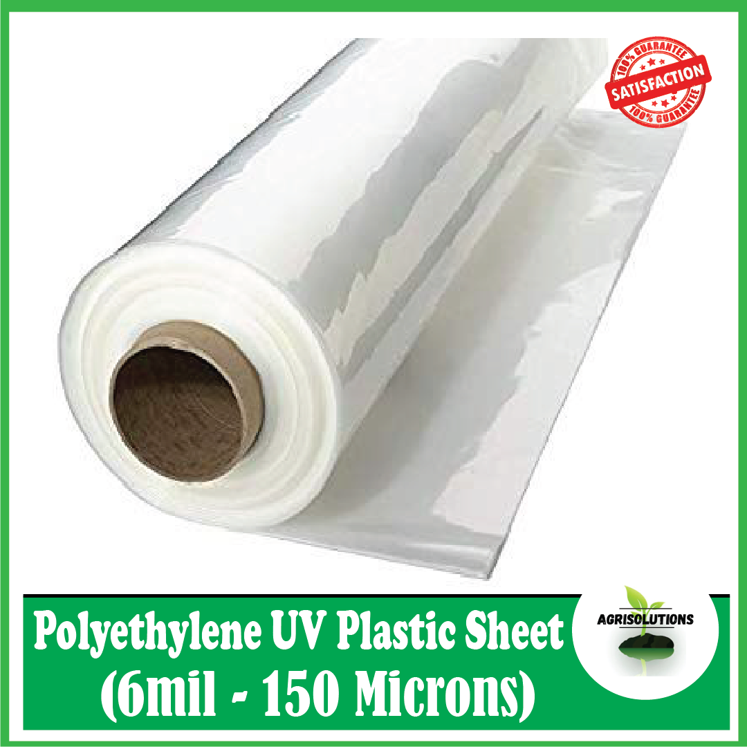 Polyethylene Uv Plastic Sheet 6 Mil 150 Microns 9ft X 10 Meter