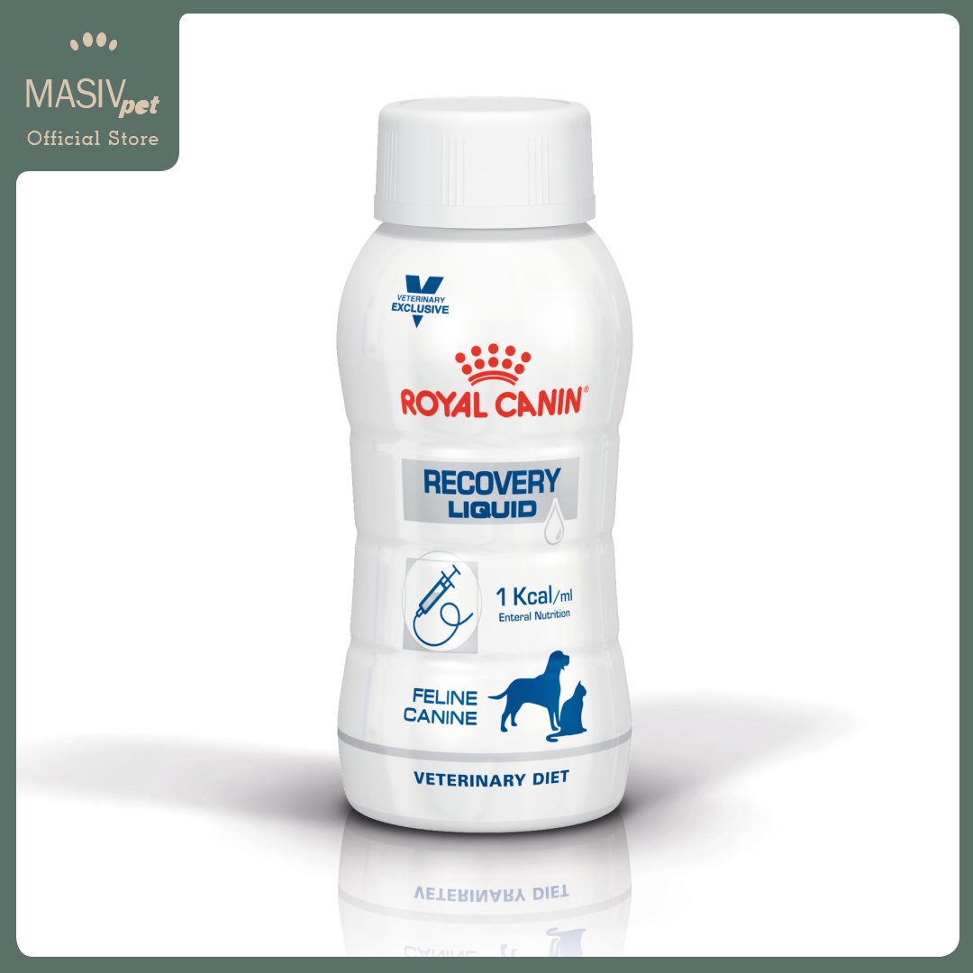 Royal canin shop recovery liquid cat