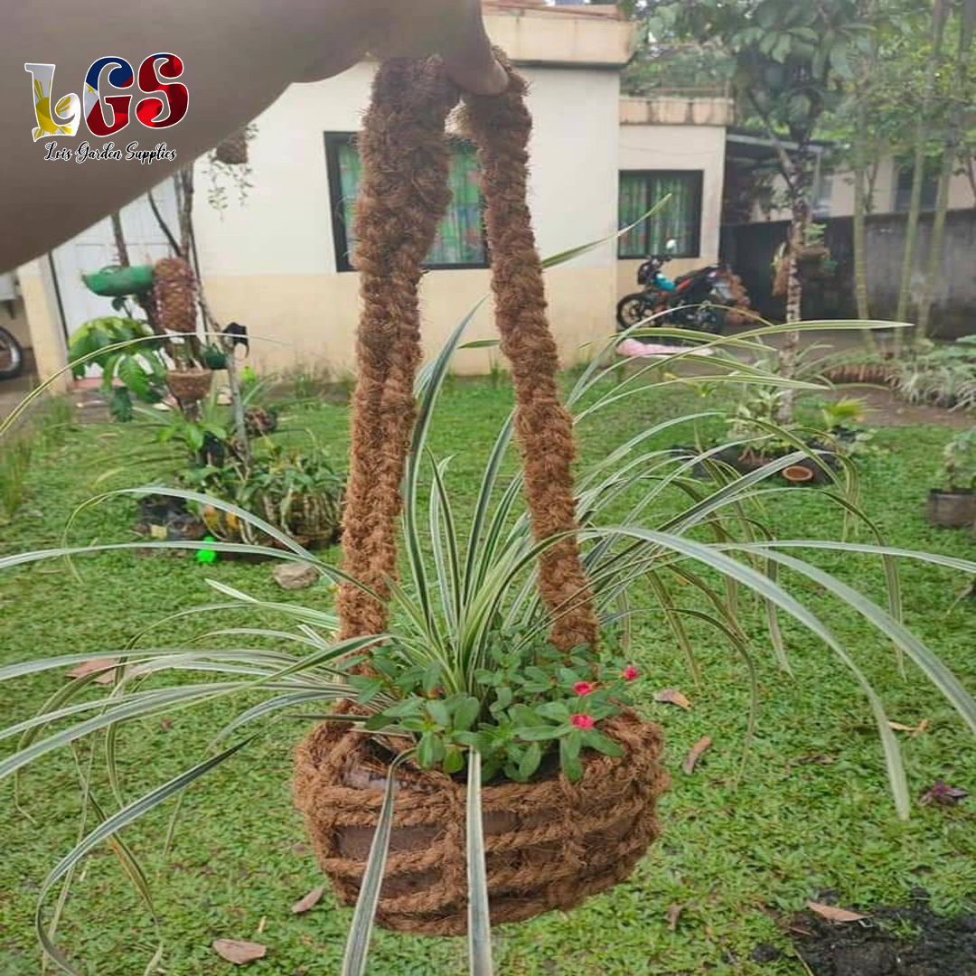 Eco Friendly Hanging Planter / Coconut Husk Hanging Basket / Hanging