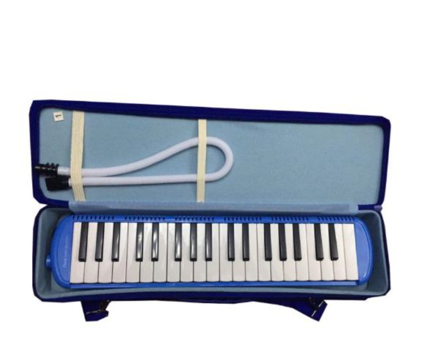 Fissler Melody Horn/Melodica (MELODY HORN-Blue) | Lazada PH