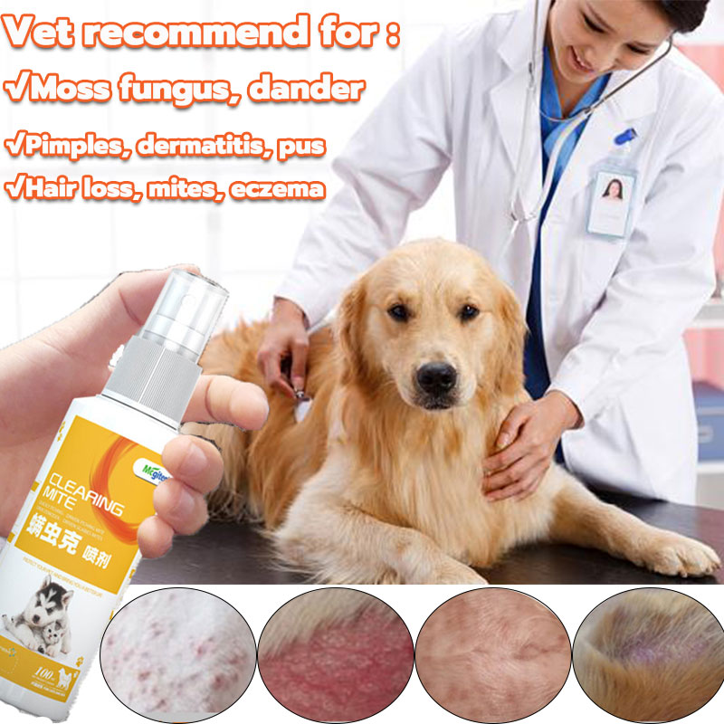 100MLgamot sa galis ng aso dog medicine for skin disease wound spray