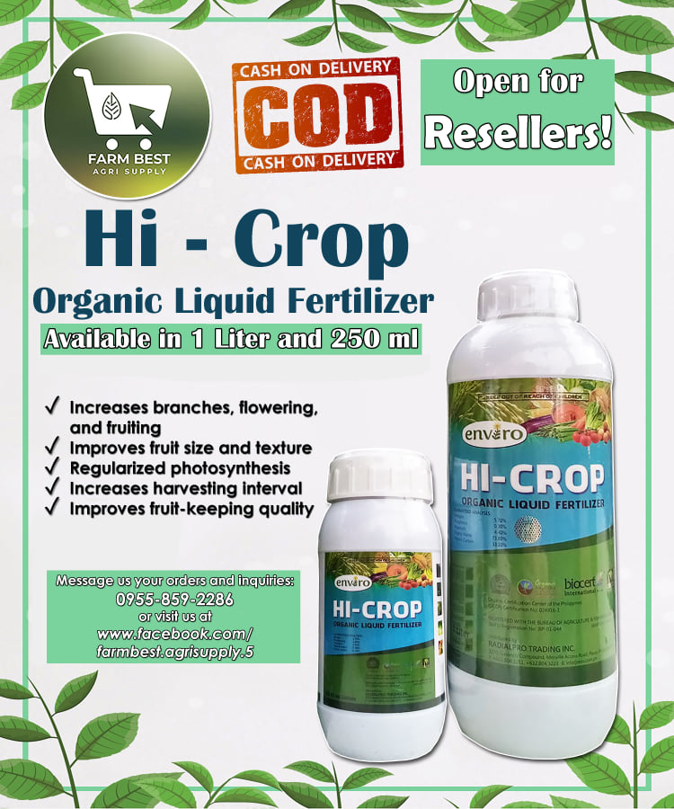 ORGANIC FOLIAR FERTILIZER 1L (flowering and fruiting) Lazada PH