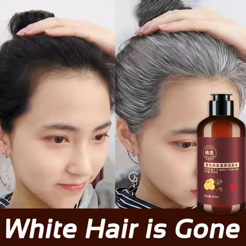 Black Hair Shampoo Permanent Effective Herbal Natural Polygonum