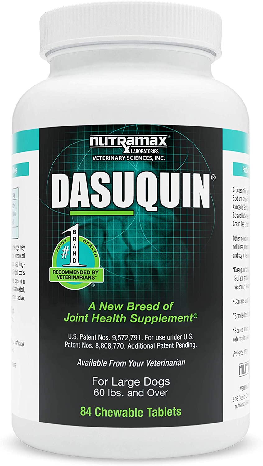 Nutramax Dasuquin Joint Health Supplement For Large Dogs With