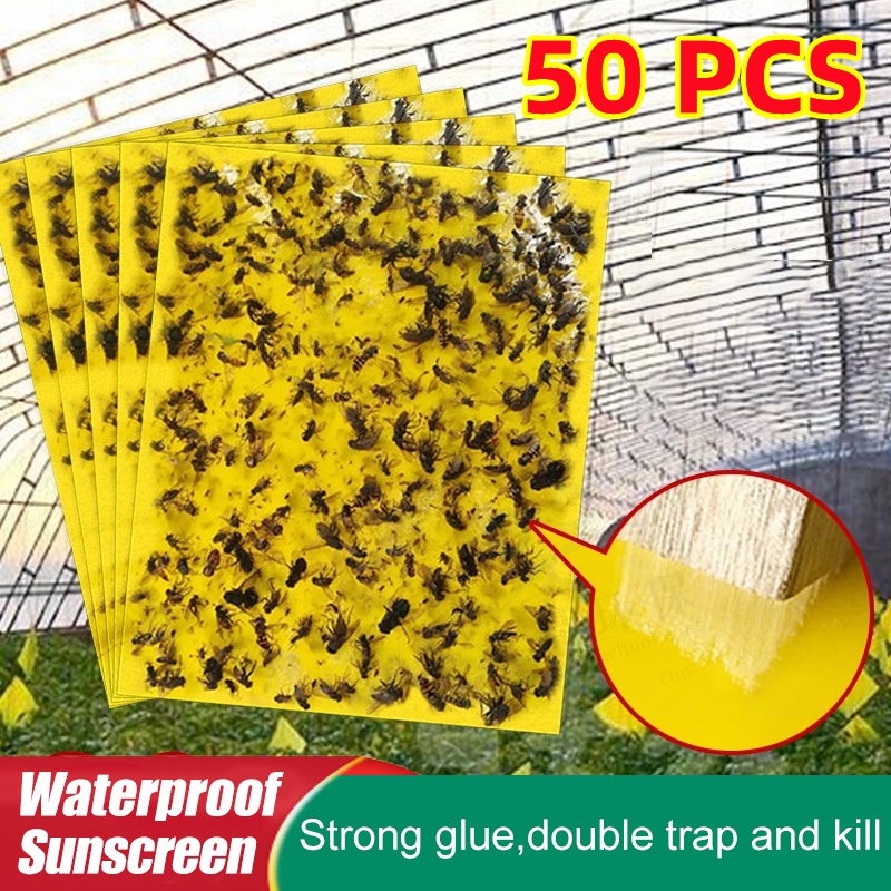 10PCS Fly Trap Gnats Insect Sticky Traps Indoor Outdoor Dual Sided Catcher  Plant Pest Control Strong