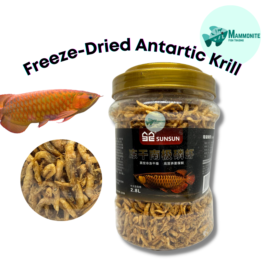 Freeze-dried shrimp, Antarctic krill, gold and silver arowana, fish feed,  rich fish, Luohan fish, fish food, fish feed, turtle grain, dried shrimp