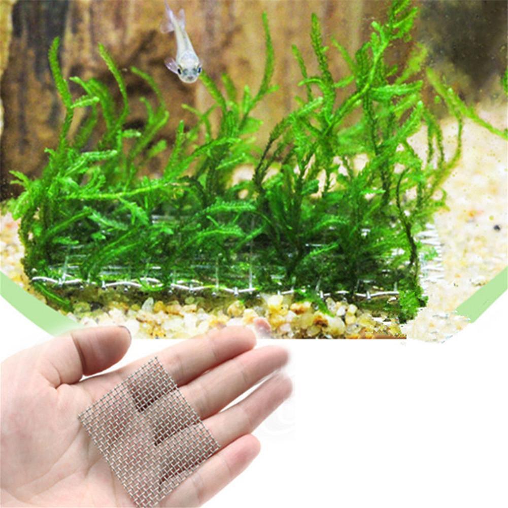 1Pcs 8cmx8cm Stainless Steel Wire Mesh Pad For Aquarium Moss Steel Mesh ...