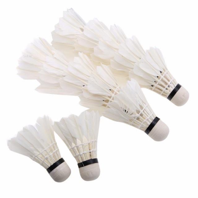 Pioneer Badminton Feather Shuttlecock 12 pcs New | Lazada PH