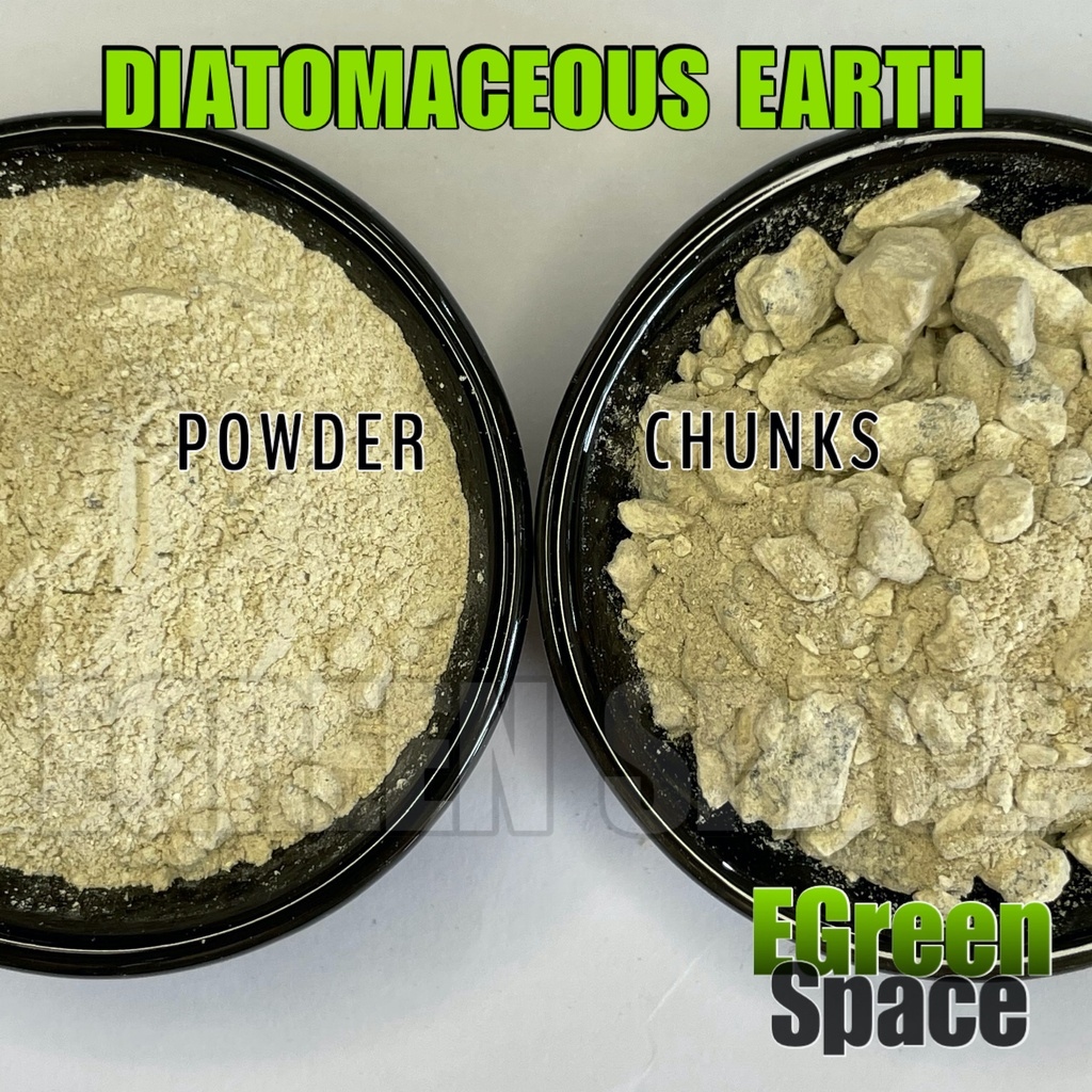 gardeninging DE DIATOMACEOUS EARTH - 1 KILO (Food Grade Safe) EGreen ...