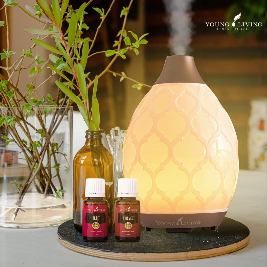 Young Living Desert Mist Diffuser with Essential Oils young living