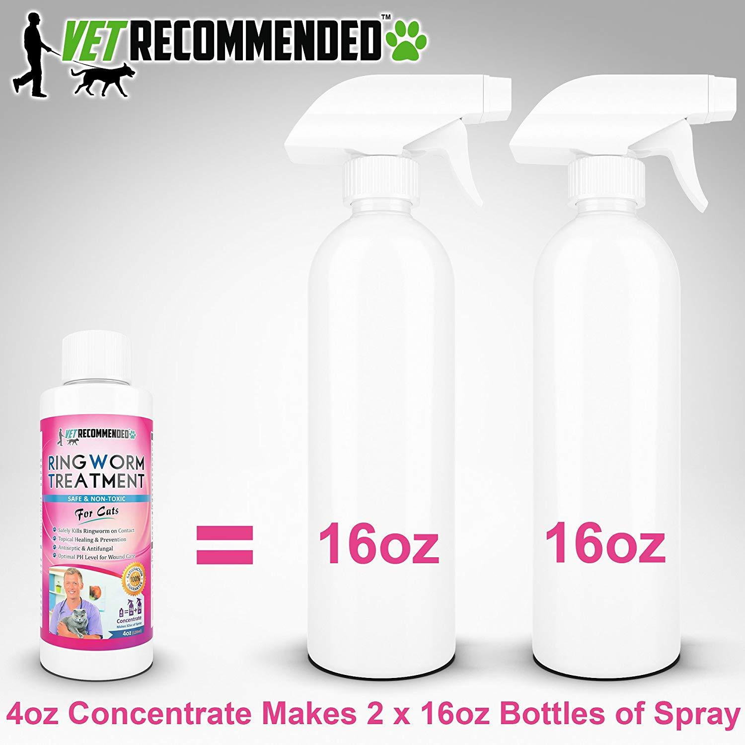 vet recommended ringworm treatment for cats