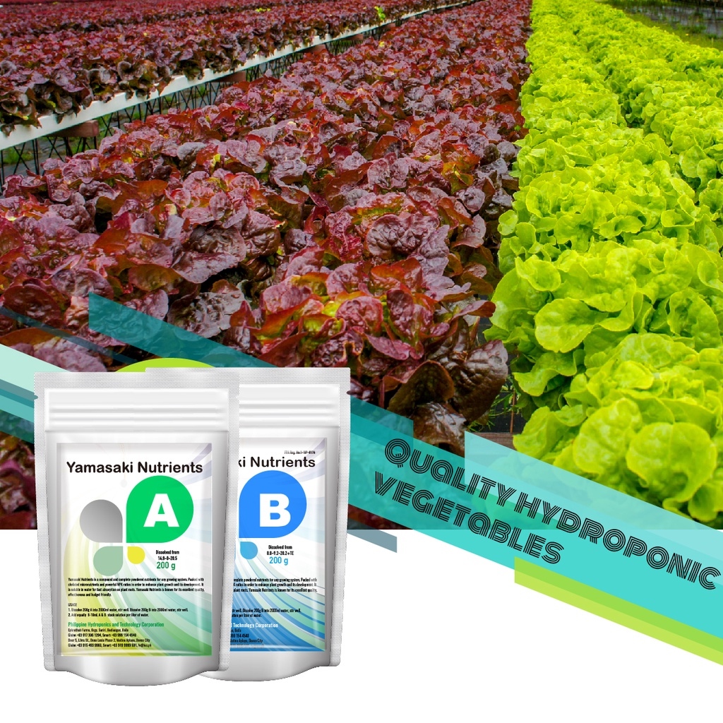 Yamasaki hydroponics nutrient 200g Set hydroponic solution nutrient