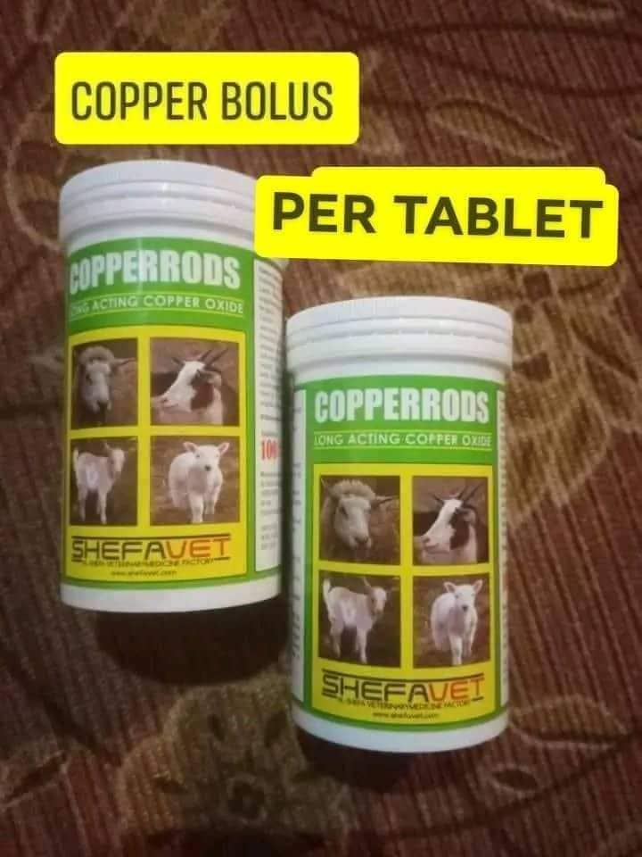 COPPER BOLUS CAPSULE Lazada PH