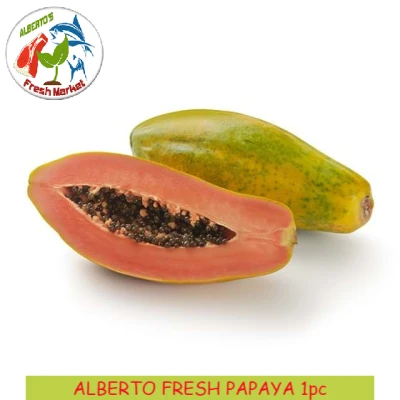 PAPAYA FRUITS - 1 piece ( approx. 1 to 1.5 kilos)
