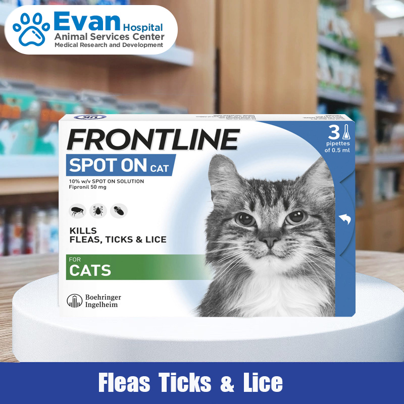 Frontline Spot On for Cats 1Tube 3Tubes Lazada PH