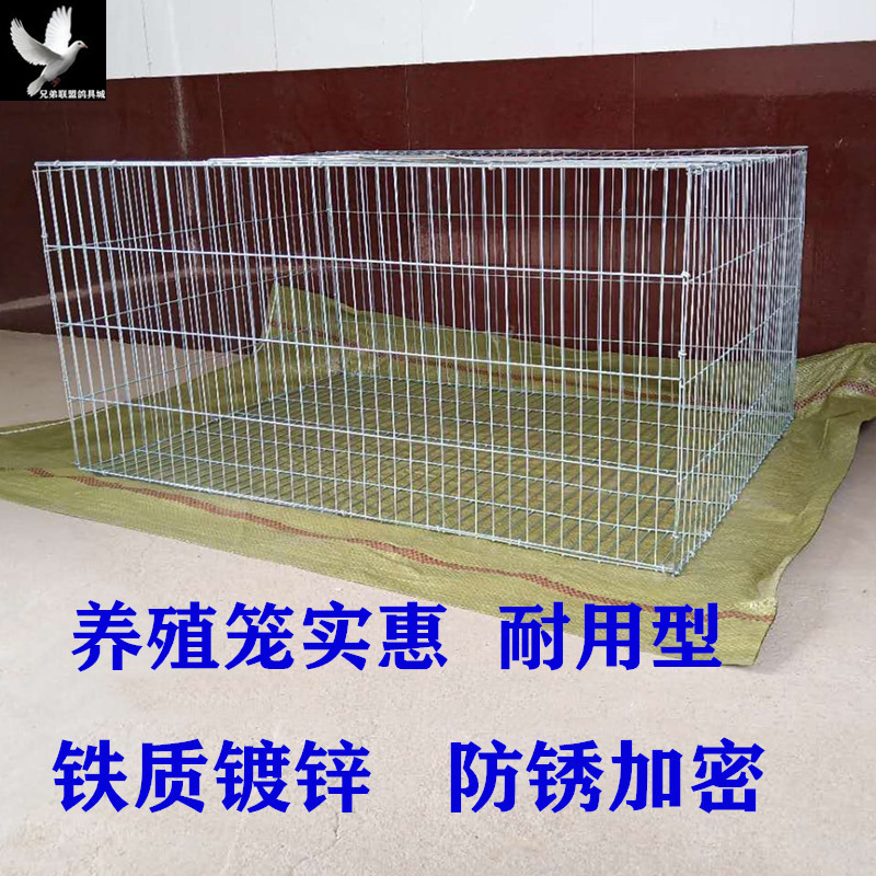 Chicken Coop Rabbit Cage Duck Coop Cat Cage Dog Crate Quail Cage