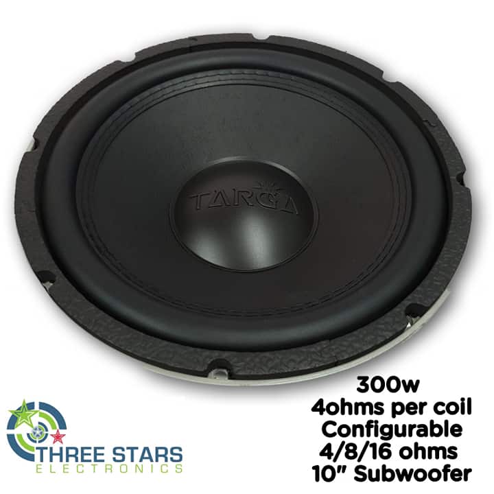 dual 300w subwoofer