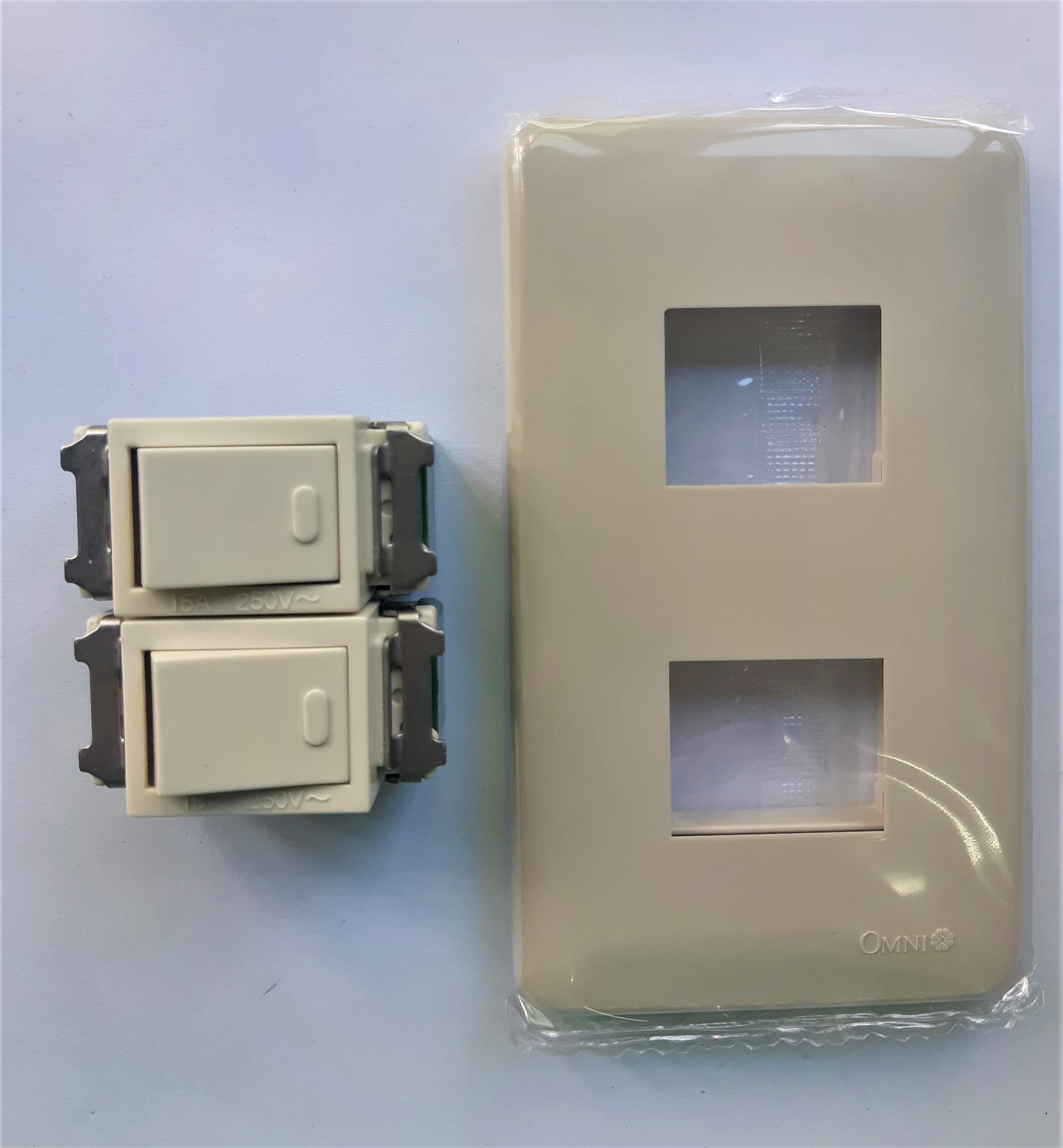 Flush Type Switch