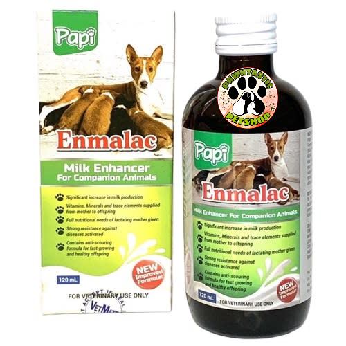 large dog breeds that shed very little