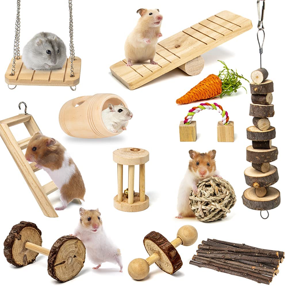 Best hamster cheap toys