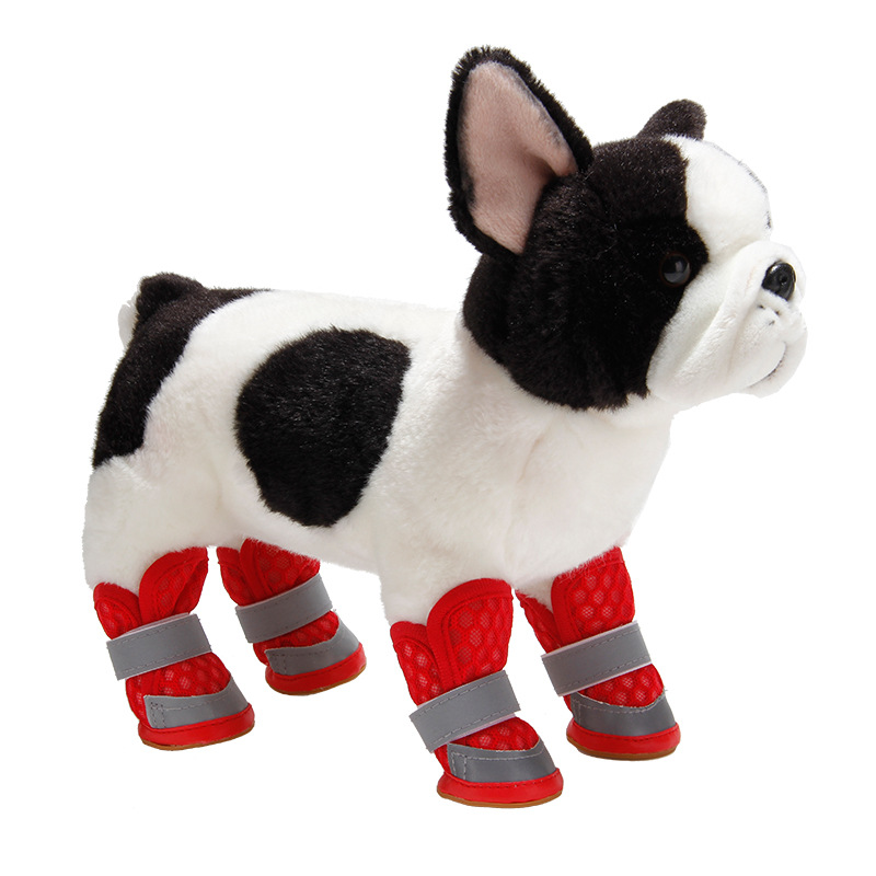 dog boots