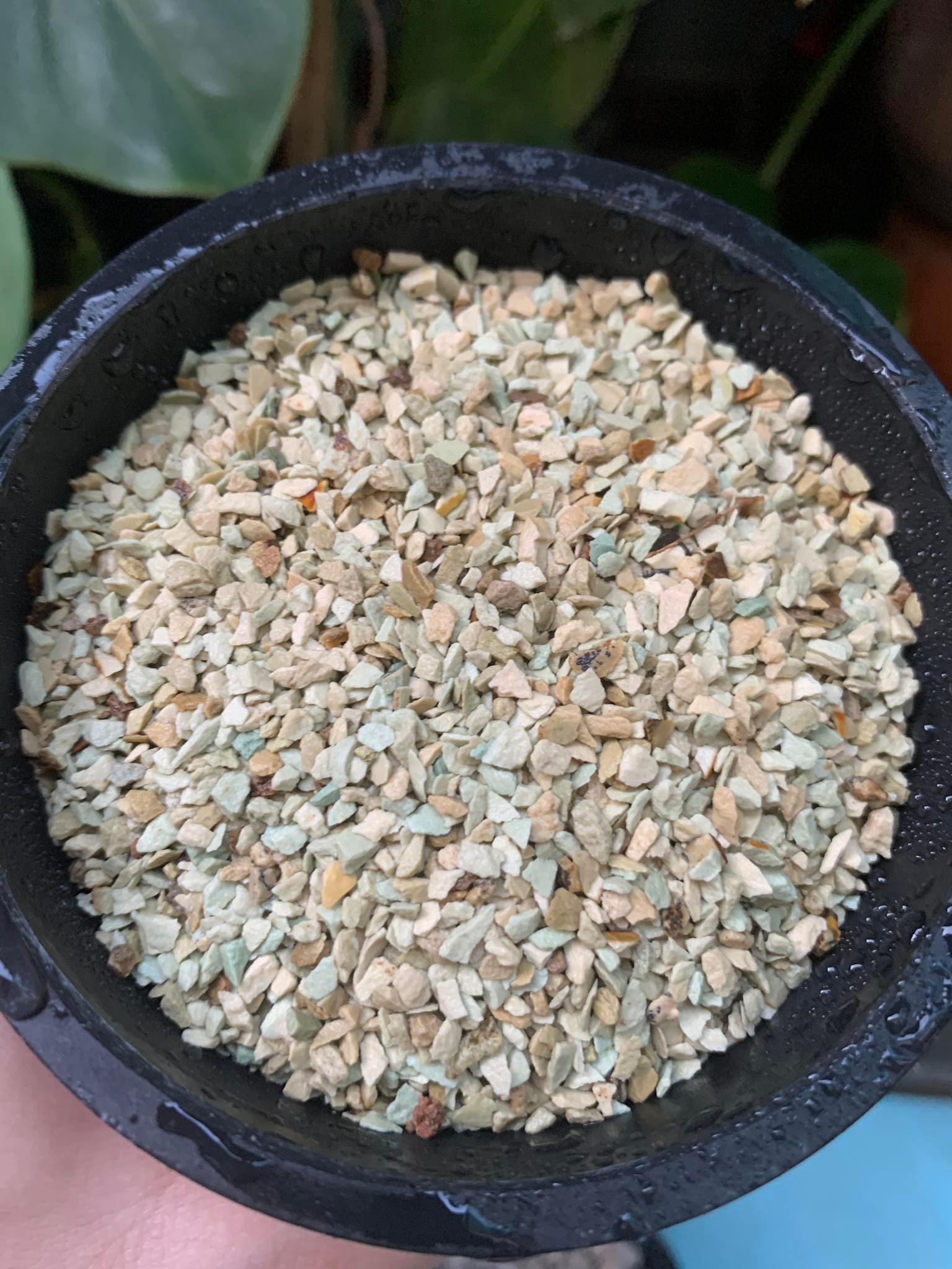 Zeolite Z5 CLEAN, UNCONTAMINATED! SAFE FOR ALL AQUATIC PETS. For Pon