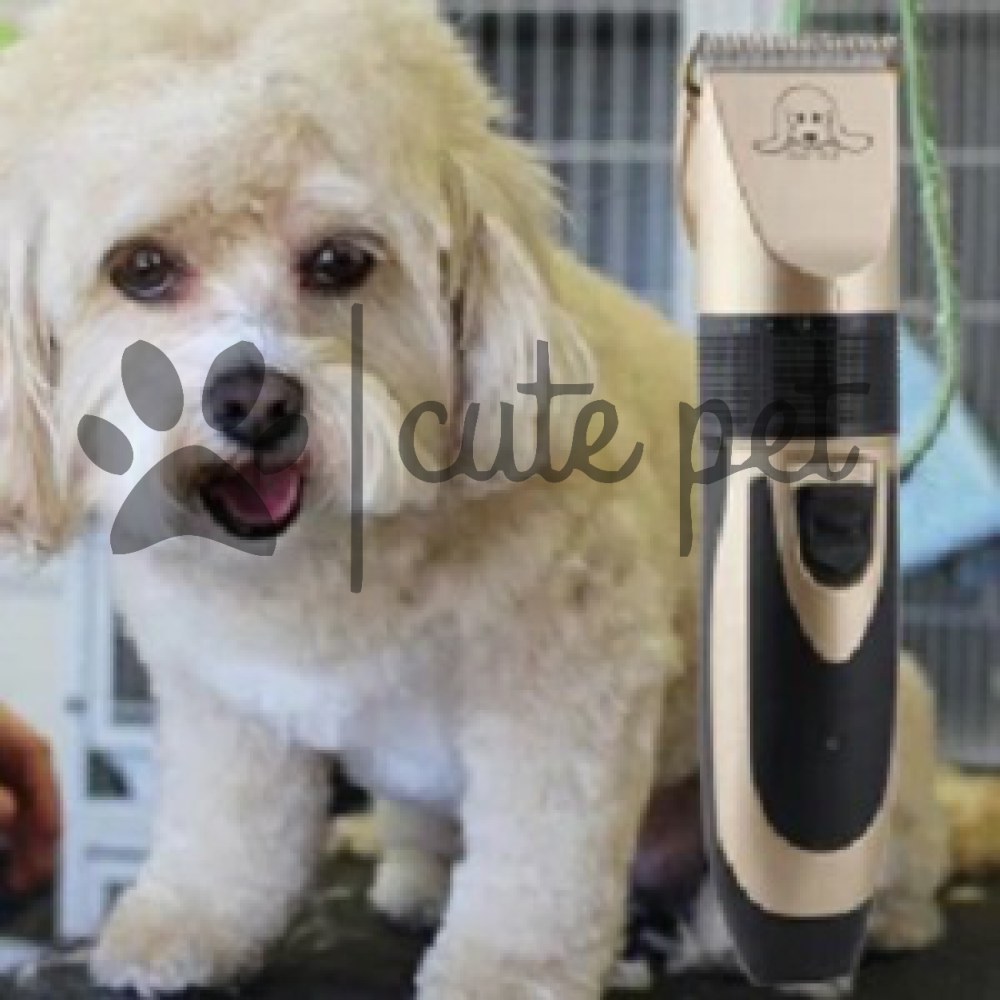 poodle hair trimmer