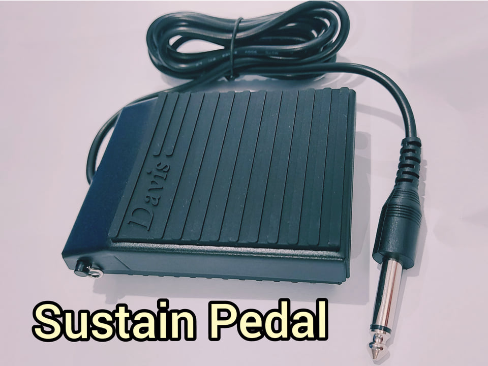 High Quality Universal Davis Sustain Pedal For Keyboard Yamaha, Casio and other Keyboard brand