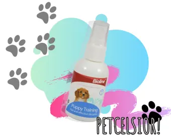 puppy toilet training aids
