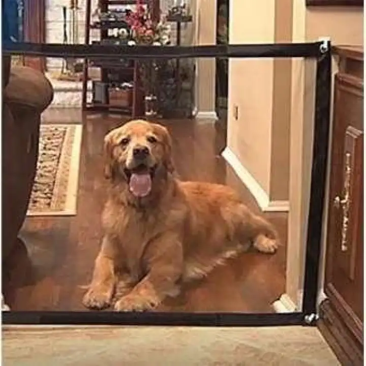 dog safety gate