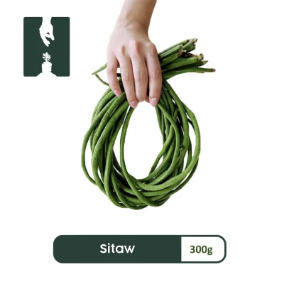 300G - STRING BEANS / SITAW — Fruits, Vegetables, Meat, Seafood Online Home Delivery