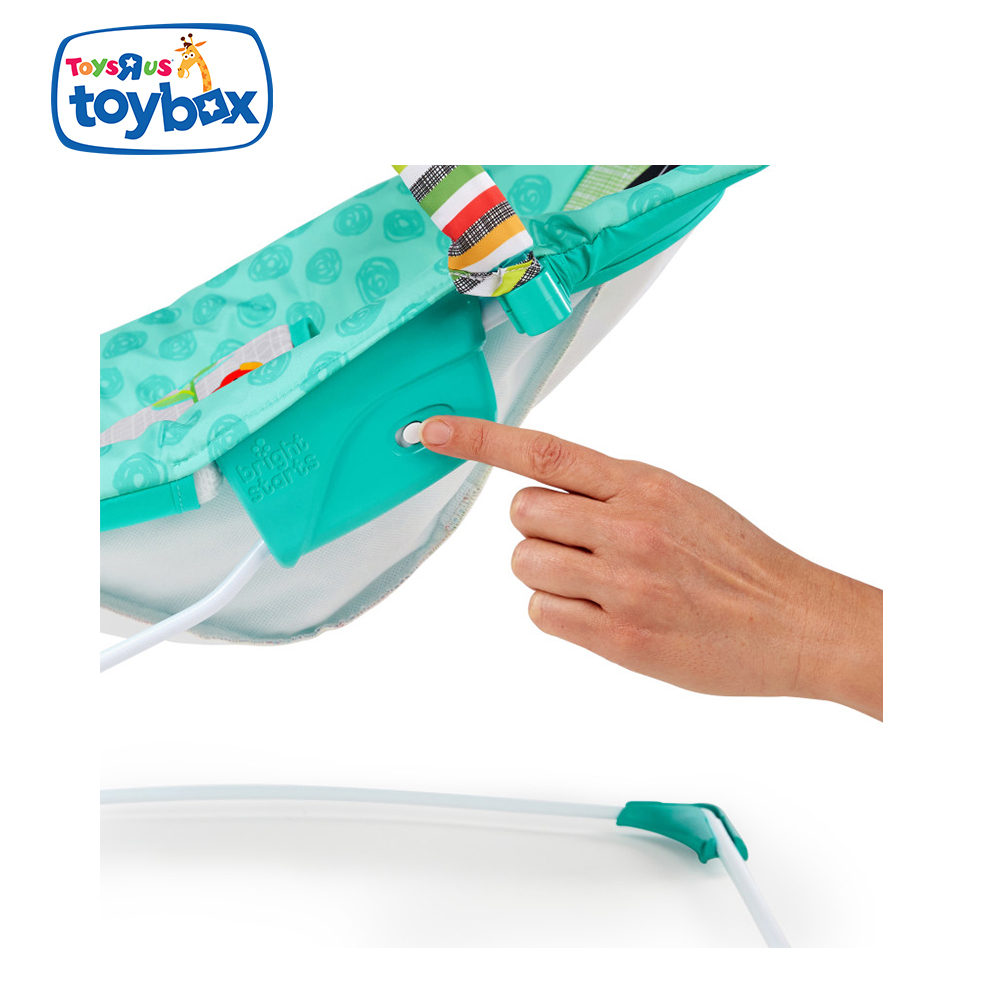 zig zag zebra vibrating bouncer