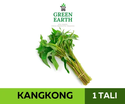 GREEN EARTH FRESH KANGKONG PANGSIGANG - 1 TALI