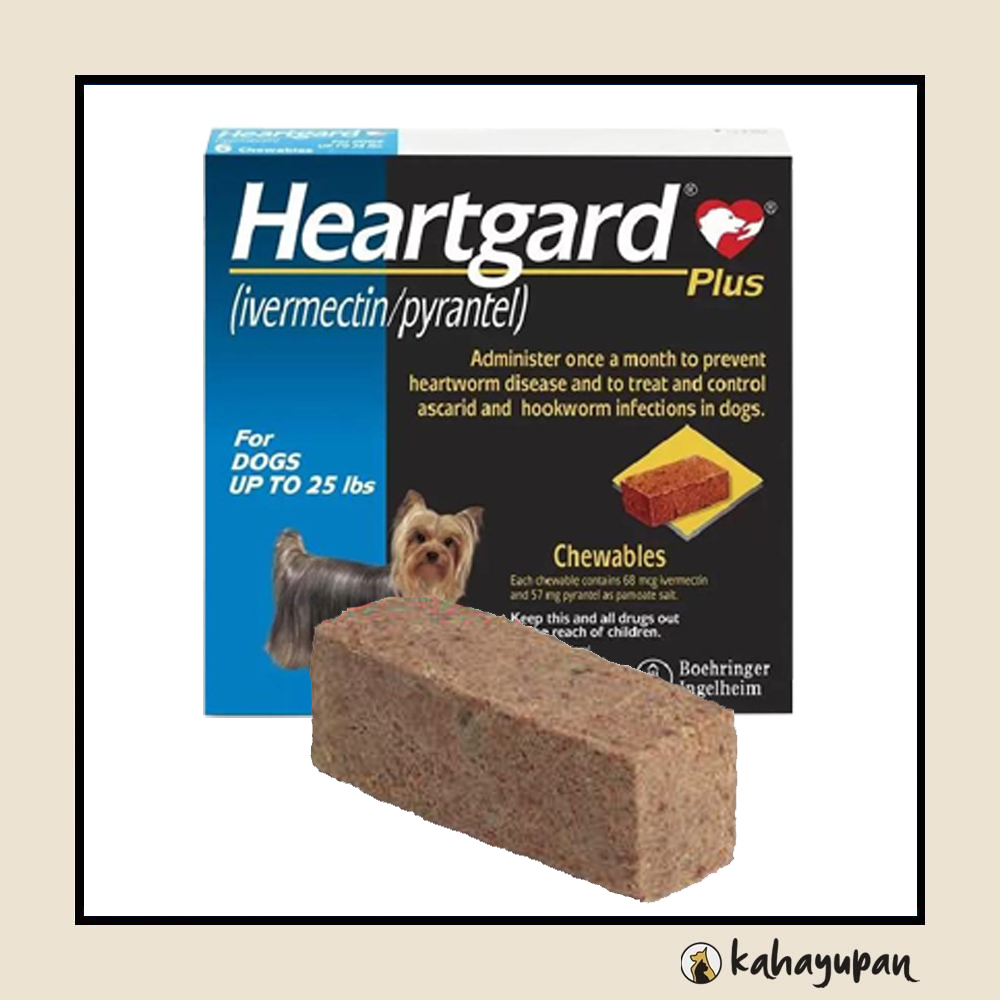 Best dewormer for dogs without vet prescription