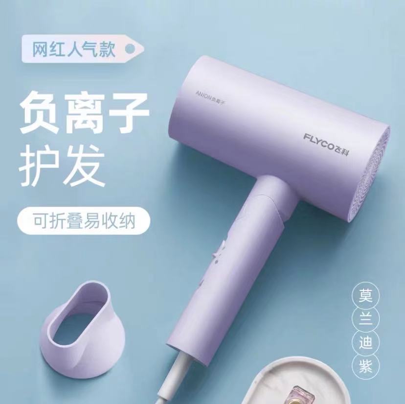 Flyco/ Feike FH6275 Hair Dryer Highpower Hair Dryer Household Negative