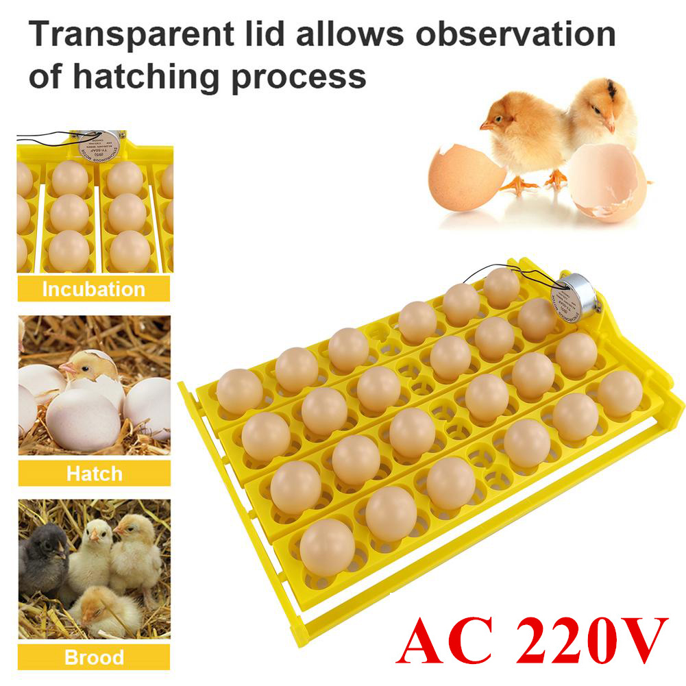 24 Egg Incubator Tray, Eggs Automatic Egg Turner Turning Tray for