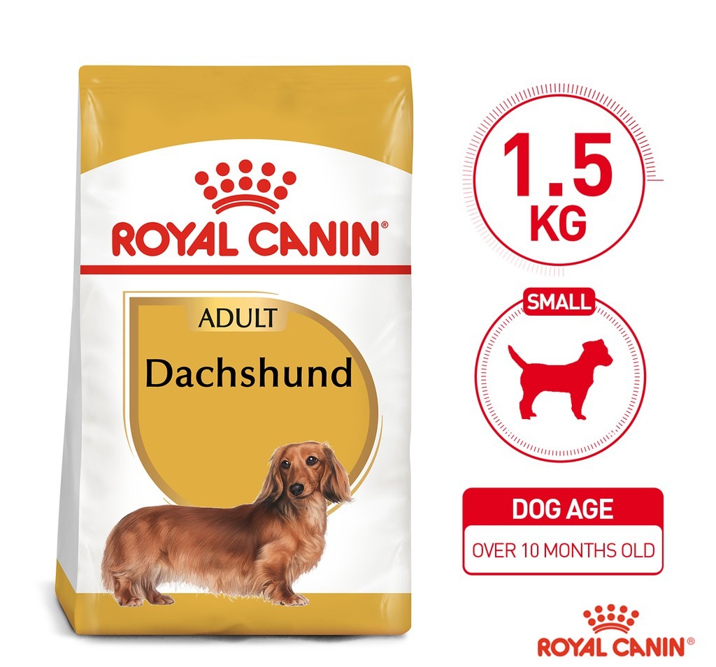 Royal Canin Dachshund Adult  - Breed Health Nutrition | Lazada PH