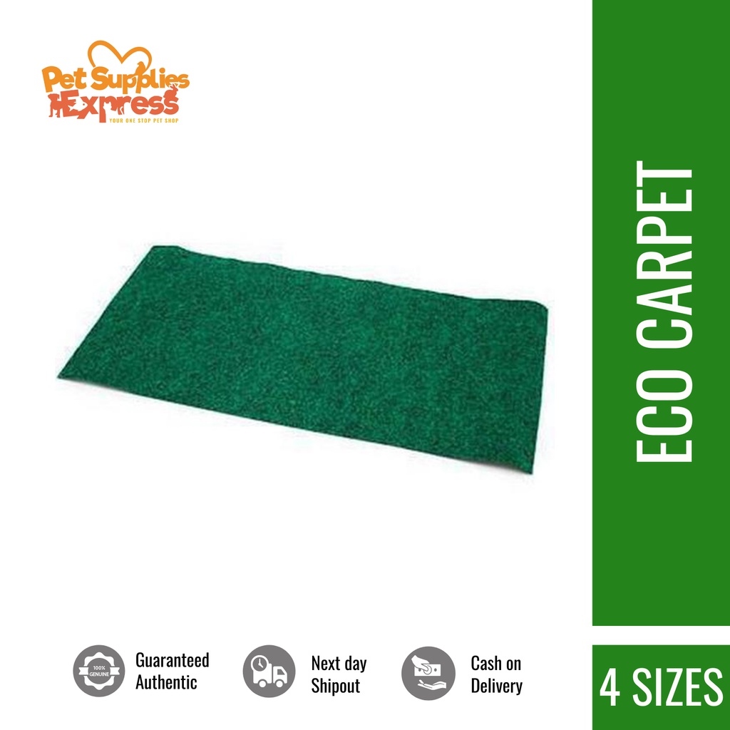 BEST SALE!☄ Zoo Med Eco Carpet for Reptiles Lazada PH