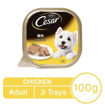 cesar gourmet dog food
