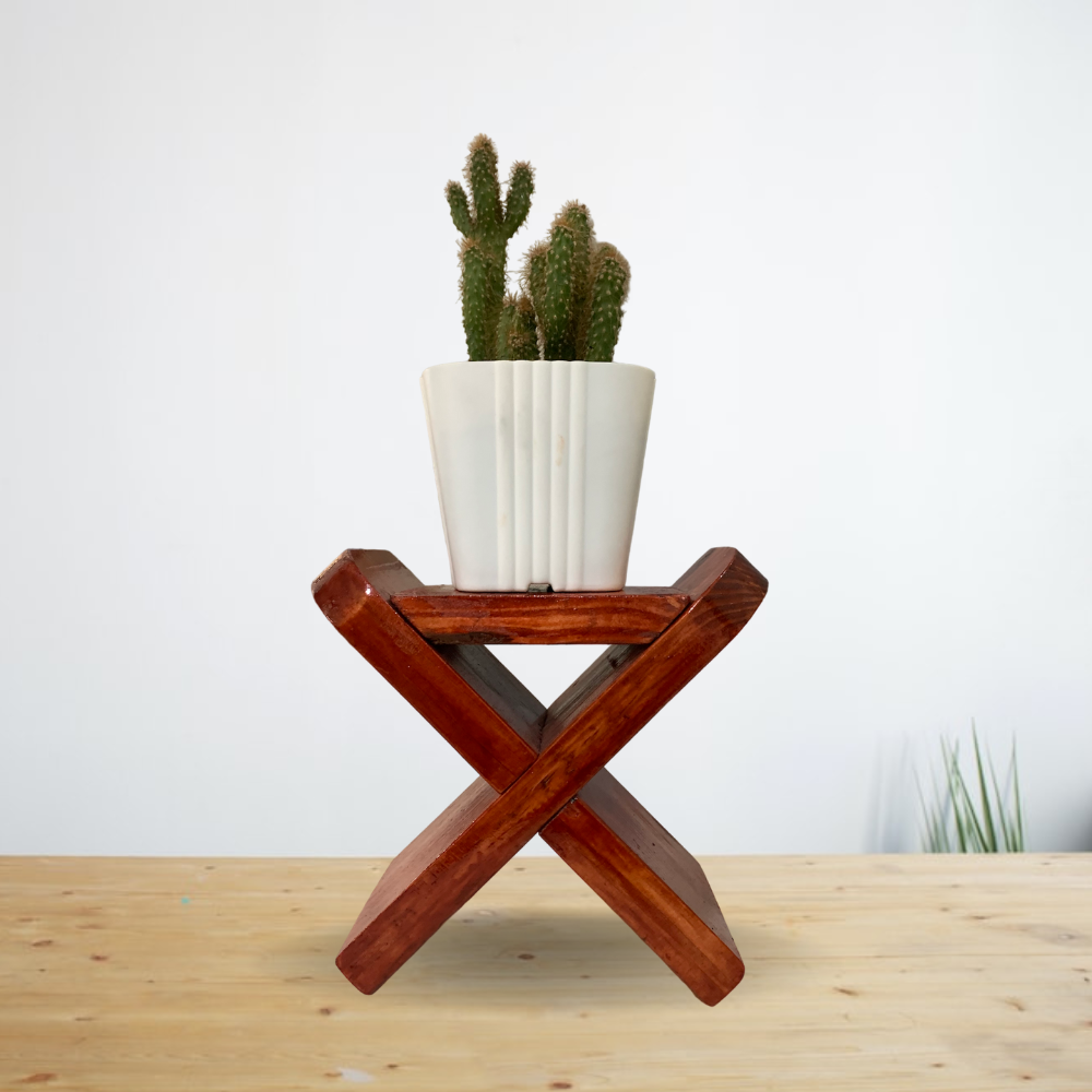 Plant Stand for Succulents Cactus Small Plants Table Top MINI Lazada PH