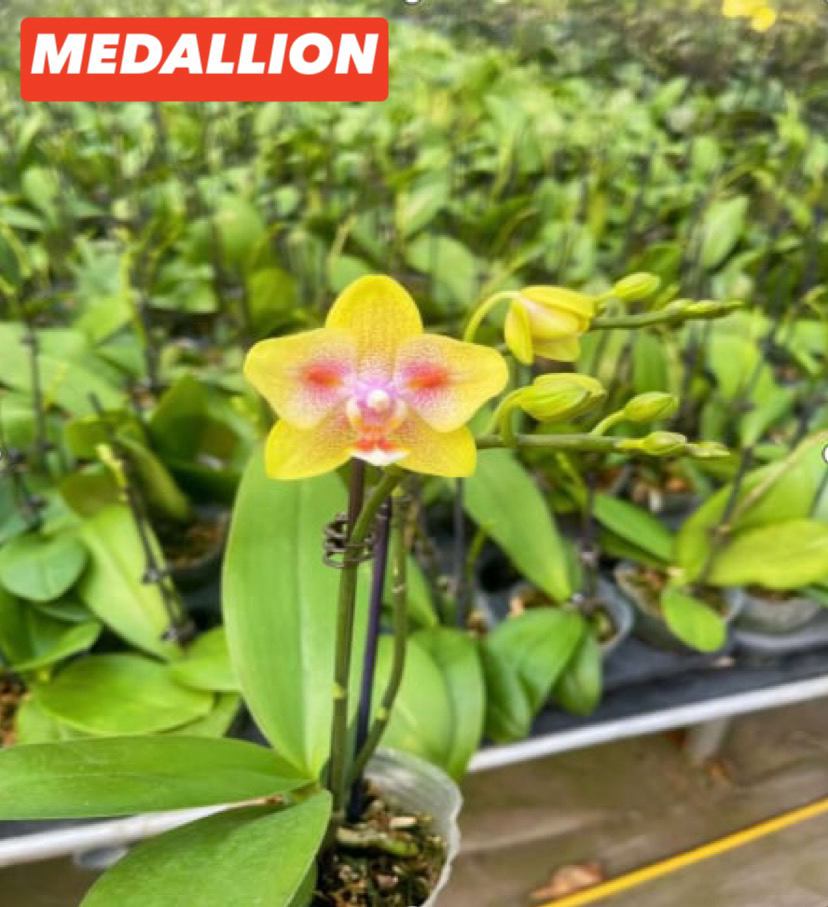 Dostlar bilan dacha porno hikoyalar