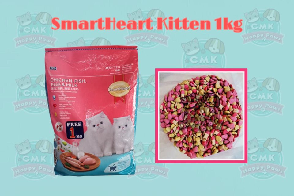 smartheart kitten